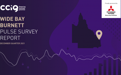 Wide Bay Burnett Pulse Survey Report – December quarter 2021